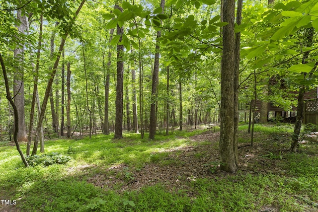 view of woods