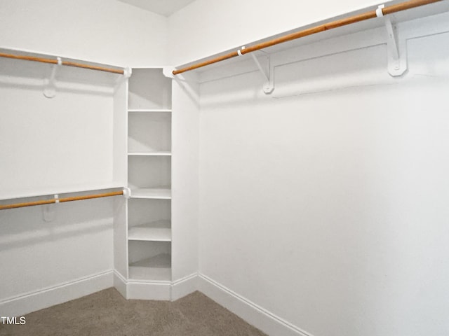walk in closet featuring carpet