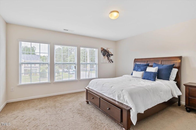 3912 Huntsmoor Ln, Wilson, NC 27896 - bedroom featuring light carpet and multiple windows