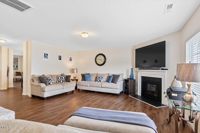 3912 Huntsmoor Ln, Wilson, NC 27896 - living room with a glass covered fireplace, wood finished floors, and visible vents
