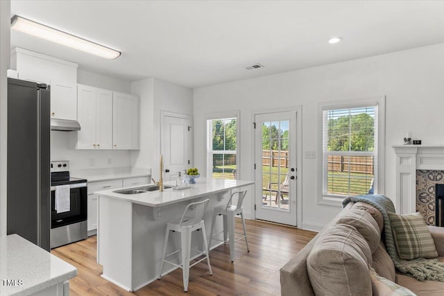 kitchen with stainless steel appliances, a sink, open floor plan, light wood-style flooring, and exhaust hood