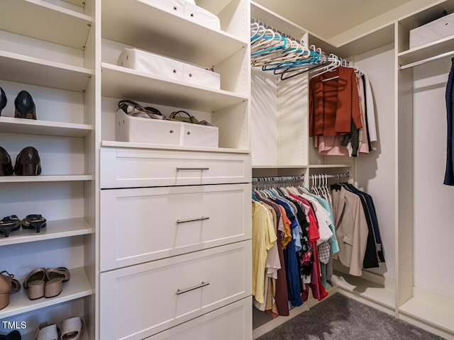 555 Whitley Ridge Dr, Clayton, NC 27527 - view of spacious closet