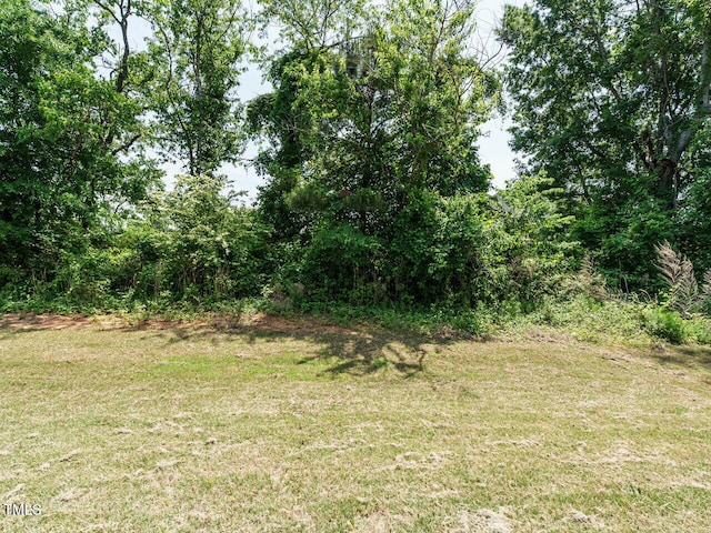 555 Whitley Ridge Dr, Clayton, NC 27527 - view of local wilderness