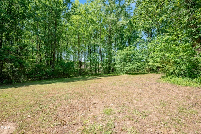 145 Mark St, Franklinton, NC 27525 - view of yard