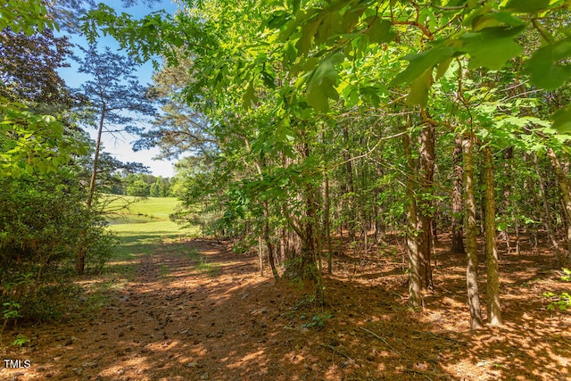 3621 Windy Hill Rd, Chapel Hill, NC 27514 - photo 4
