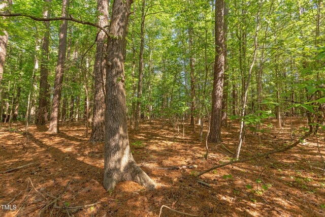 3621 Windy Hill Rd, Chapel Hill, NC 27514 - photo 2