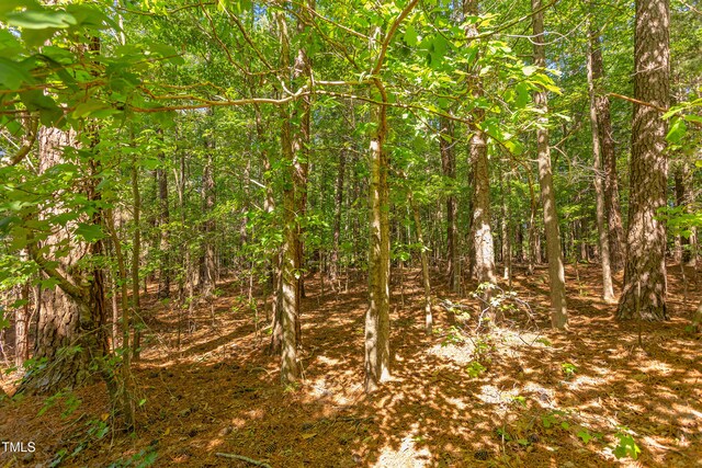 3621 Windy Hill Rd, Chapel Hill, NC 27514 - photo 13