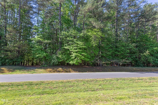 3621 Windy Hill Rd, Chapel Hill, NC 27514 - photo 8