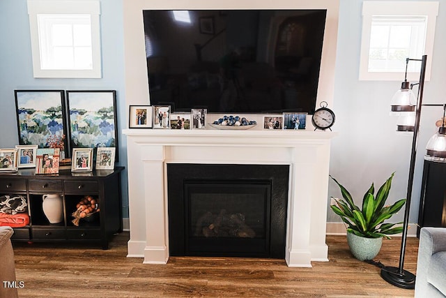 interior details with baseboards, wood finished floors, and a fireplace