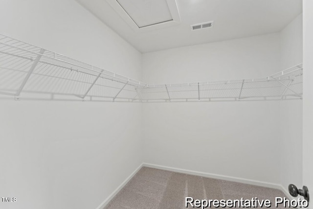 walk in closet featuring carpet floors and visible vents