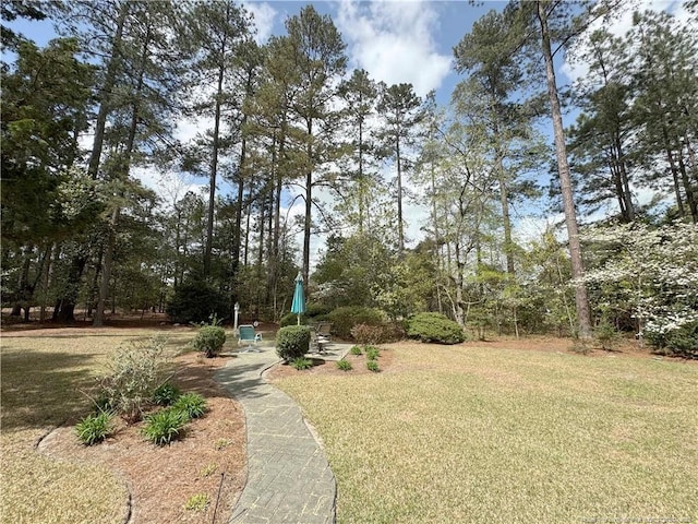 161 Lakeview Dr, Southern Pines, NC 28387 - view of home's community with a yard