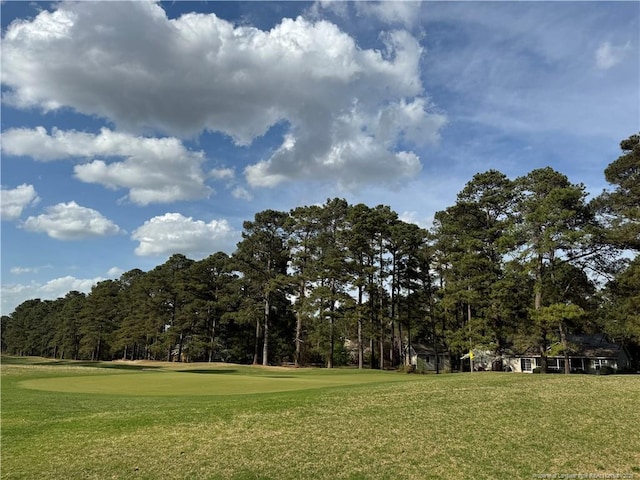 161 Lakeview Dr, Southern Pines, NC 28387 - view of property's community with a lawn and view of golf course