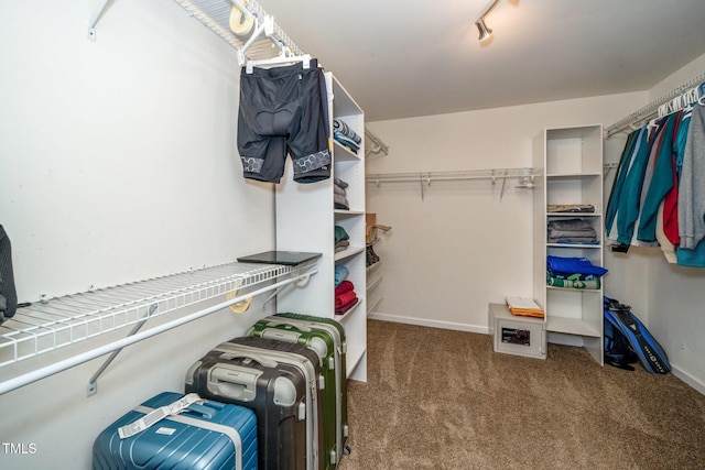 149 Cinder Cross Way, Garner, NC 27529 - walk in closet with carpet floors