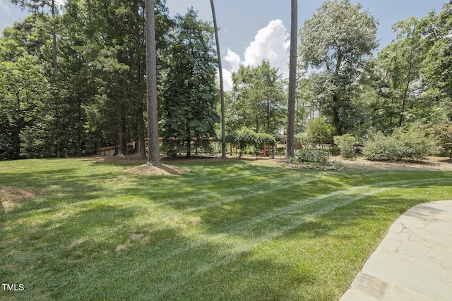 5901 Charleycote Dr, Raleigh, NC 27614 - view of yard