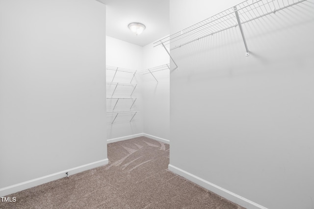 1104 Arden Trace Ct, Fuquay Varina, NC 27526 - walk in closet featuring carpet
