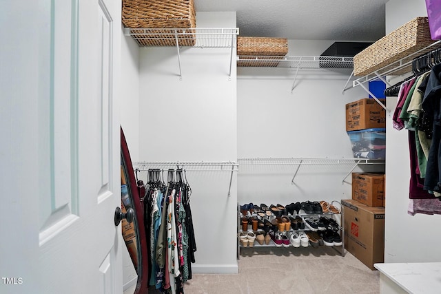 walk in closet with carpet