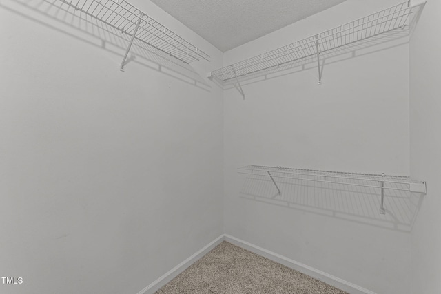 7905 Gaza Cir, Fayetteville, NC 28314 - photo 20