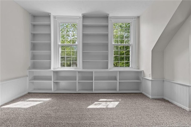 bonus room featuring carpet flooring, wainscoting, and built in features