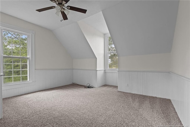bonus room featuring a healthy amount of sunlight and carpet flooring