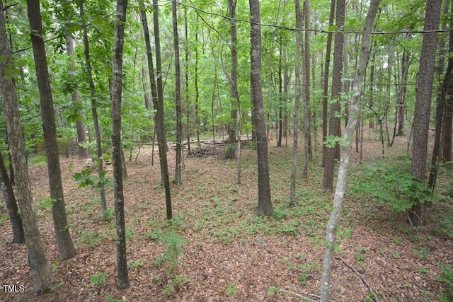 view of local wilderness with a wooded view