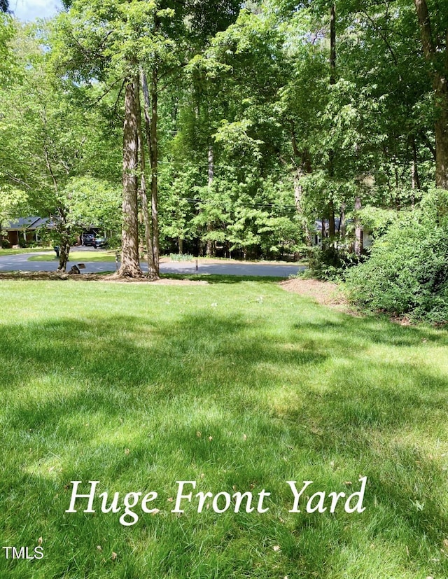 view of yard