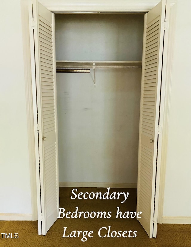 view of closet