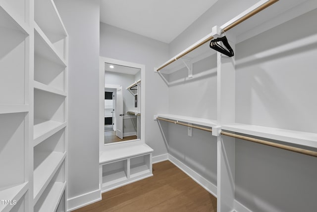 walk in closet with dark wood finished floors