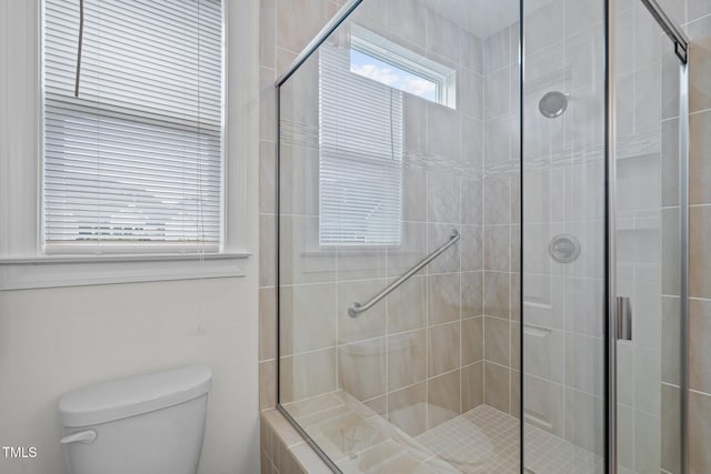 bathroom with a shower stall and toilet