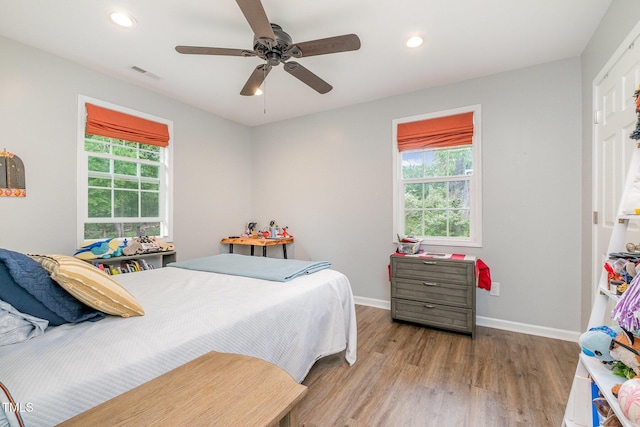 553 Isley Rd, Haw River, NC 27258 - bedroom featuring multiple windows, wood finished floors, recessed lighting, and baseboards