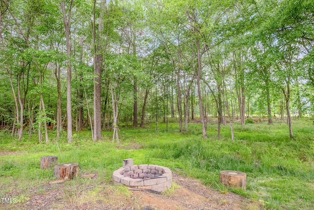 553 Isley Rd, Haw River, NC 27258 - view of yard with a fire pit