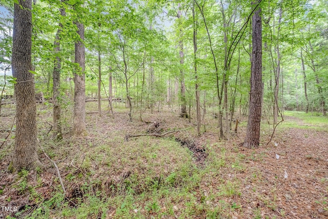 553 Isley Rd, Haw River, NC 27258 - view of tree filled area