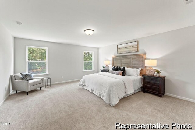 207 Curling Creek Dr Unit 300P, Clayton, NC 27527 - carpeted bedroom with baseboards