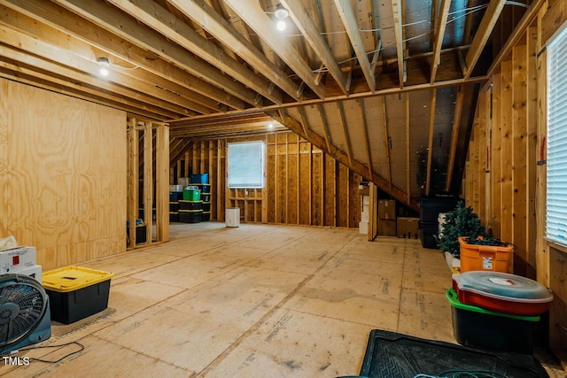328 Boone St, Chapel Hill, NC 27516 - basement with a wood stove
