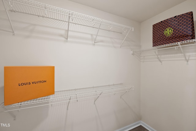 view of spacious closet