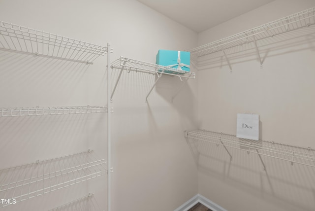 view of walk in closet