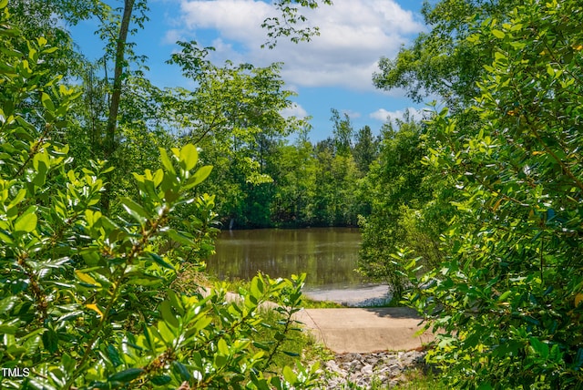 property view of water