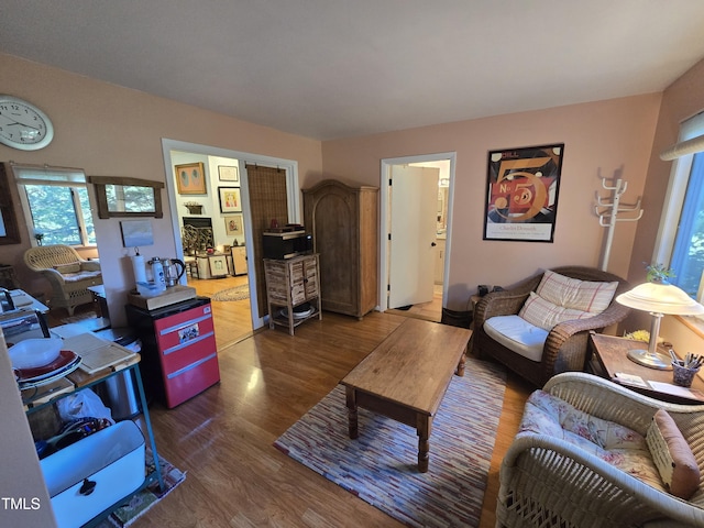 living room featuring wood finished floors