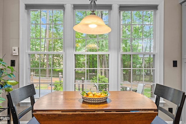 view of dining space