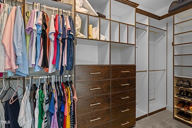 walk in closet featuring carpet flooring