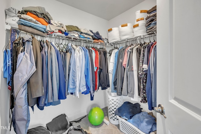 view of spacious closet