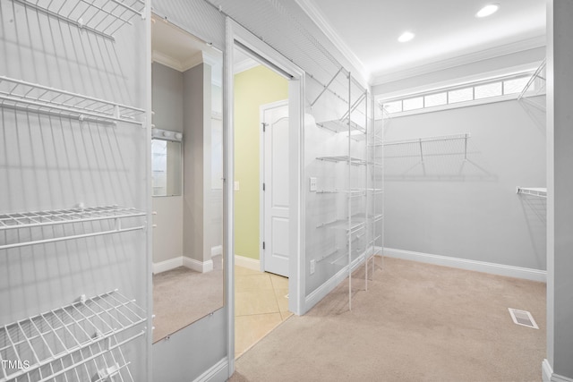 walk in closet featuring carpet floors