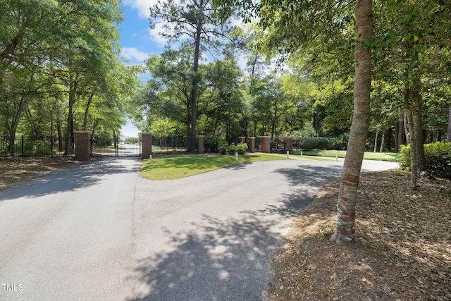 view of asphalt road featuring a gate
