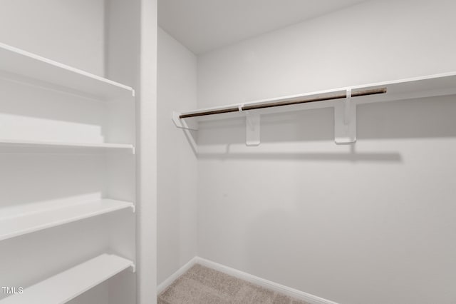 124 Landon Pl, Roxboro, NC 27573 - spacious closet featuring carpet floors