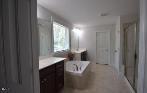 full bathroom featuring vanity, a garden tub, and a stall shower