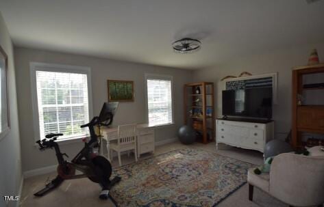 exercise area featuring baseboards and plenty of natural light