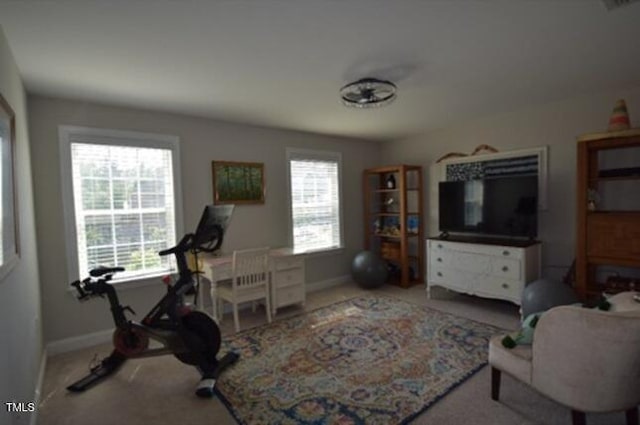 3032 Curling Creek Dr, Apex, NC 27502 - exercise area featuring carpet floors and baseboards