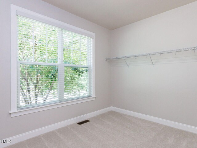 354 Crimson Way, Pittsboro, NC 27312 - walk in closet featuring light carpet