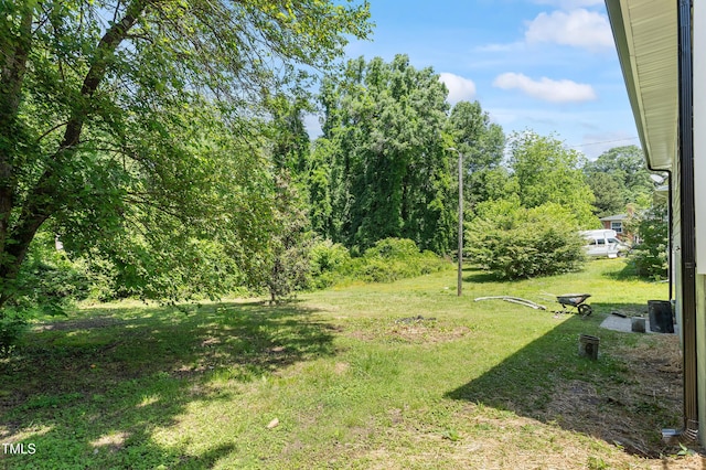 view of green lawn with a view of trees
