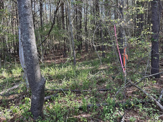 441 Baltimore Church Rd, Warrenton, NC 27589