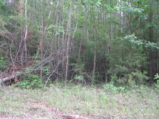 441 Baltimore Church Rd, Warrenton, NC 27589